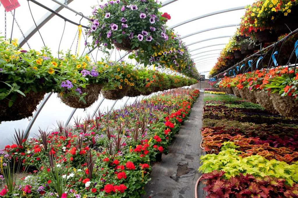 La croissance de votre jardin commence ici 